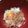 クックFBXUI9☆'s cooksnap of when they made 卵かけご飯には血液サラサラ効果の玉葱を.