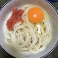 yaokiyaoki's cooksnap of when they made 我が家の釜卵明太子うどん.