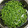 swwweeeeet's cooksnap of when they made 山椒の実のアク抜きから調理・保存法.