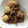 mesoco's cooksnap of when they made さといもと豚肉の煮物.