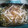 閑人舎's cooksnap of when they made 余ったもやしの保存法.