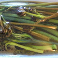 クックP479II☆'s cooksnap of when they made ワラビのアク抜きと塩蔵保存.
