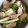 音瀬☆'s cooksnap of when they made 鶏ささみとセロリのさっぱりサラダ✬.