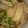にょりこママ's cooksnap of when they made 味噌が決め手！肉豆腐.