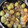 クックDA22B7☆'s cooksnap of when they made すき焼きのタレでつくるほくほく♪肉じゃが.