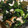 クックZ8J4H4☆'s cooksnap of when they made ちくわとほうれん草のマヨしょうゆ和え♪.