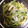 mikitaya's cooksnap of when they made 簡単！水菜と竹輪のあっさり和え.