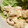 かめっちルンルン's cooksnap of when they made 筍とちくわのツナマヨサラダ.