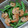 さくらん餅's cooksnap of when they made スナップエンドウとエビの炒め物.