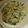 もりのりころ's cooksnap of when they made にらのチヂミ　簡単時短！.