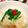 aaiaio's cooksnap of when they made うまい！もやしとニラのコチュジャンナムル.