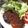 ゆかタートル's cooksnap of when they made 綾ぶどう豚ハンバーグ.