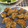 Uchinochie's cooksnap of when they made 簡単！れんこんと鶏ひき肉の利休焼き.