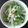 メイ♡'s cooksnap of when they made ツナと水菜のオイルサラダ.