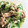 commonn's cooksnap of when they made きゅうりとツナの中華和え.