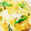 よっくんぼうや's cooksnap of when they made マヨネーズとケチャップの野菜炒め.