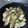 ランランフクちゃん's cooksnap of when they made かぶと牛肉のオイスターソース炒め.
