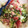 D♡Y's cooksnap of when they made 超簡単!!ニンニクの芽のマヨ醤油和え.