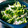 きえまま's cooksnap of when they made カイワレ大根としらすの中華和え.