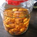 たなか家's cooksnap of when they made カロリー控えめ♪さらり・さっぱり✿梅酒.