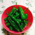 emumihq's cooksnap of when they made 手間なし ししとう.
