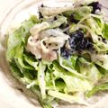 まーきー♪'s cooksnap of when they made レタスと海苔の梅マヨサラダ.