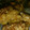 みきゆうりん's cooksnap of when they made 冷めてもおいしい揚げないジューシー唐揚げ.