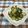 まさたかまま's cooksnap of when they made 塩麹と塩昆布のきゅうり漬け♪(^-^)v.
