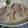 クロスカウンター's cooksnap of when they made 簡単★ほたての昆布締め.
