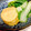 yummy?'s cooksnap of when they made がんもとしろ菜の煮浸し.