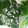 クック4RNV00☆'s cooksnap of when they made ほうれん草→冷凍保存！.