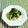 SP♪'s cooksnap of when they made 簡単一品☆白菜・えのきワカメサラダ☆.
