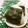 赤い電話's cooksnap of when they made 簡単すぎる★ほんだしおにぎり.