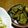 はぴ～'s cooksnap of when they made ★インゲンの揚げびたし★.