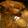 クックVNSB48☆'s cooksnap of when they made 焼豚.