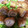 ぴんくネコmama's cooksnap of when they made 簡単だからアレンジ自在♪くるくる豚かつ.