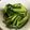 MAMMA310's cooksnap of when they made うるいときゅうりの昆布茶和え.