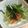 ななえ先生's cooksnap of when they made ★大根,水菜,しらす,トマトのサラダ★.