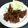 ゆんぴー's cooksnap of when they made トリ皮せんべい.