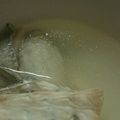 tanzanite's cooksnap of when they made うまい！鯛のうしお汁.
