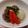 ■碧流■'s cooksnap of when they made 料亭風*季節野菜の煮物・薄くずあんかけ.