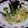 ねこのおーじさま's cooksnap of when they made ぶっかけおろしレタス素麺.