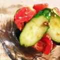ふれんちきてぃ's cooksnap of when they made トマトとキュウリと水菜とタマネギのサラダ.