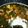 クック4RNV00☆'s cooksnap of when they made 万能！にんにくのアヒージョ.