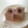 野菜のはたけ's cooksnap of when they made あわしま堂の水ようかん牛乳寒天.