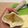 まゆまゆ105's cooksnap of when they made 菜箸コロコロもうしない★油揚げの開き方.