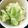 メイ♡'s cooksnap of when they made 春キャベツの簡単サラダ.