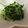 みゃーちゃん611's cooksnap of when they made パクパク水菜.