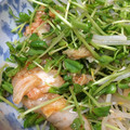 すずきえきさ's cooksnap of when they made もやしと豆苗のしゃきしゃきキムチ和え.