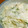 max4995's cooksnap of when they made 簡単！大根とホタテのシソサラダ.